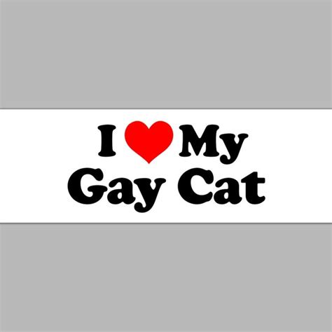 i love my gay cat bumper sticker